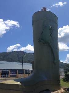 At the top of the Big Gumboot, Tully